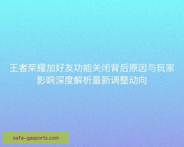 王者荣耀加好友功能关闭背后原因与玩家影响深度解析最新调整动向